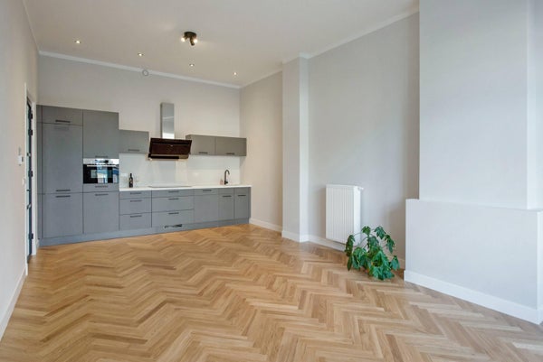 House Image 3