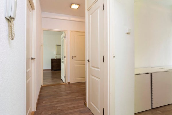 House Image 4