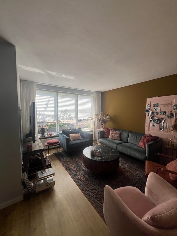 House Image 4