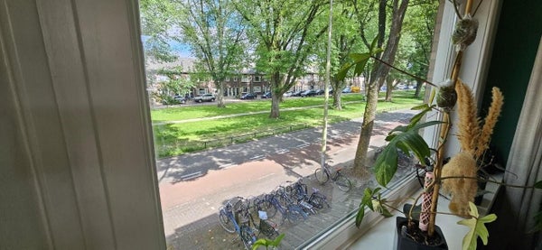 House Image 5