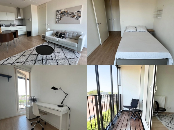 recent house