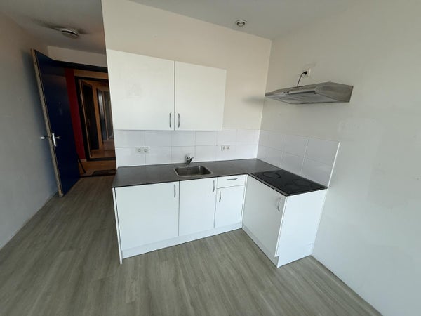 House Image 4