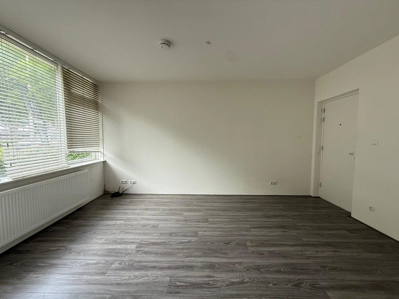 House Image 3