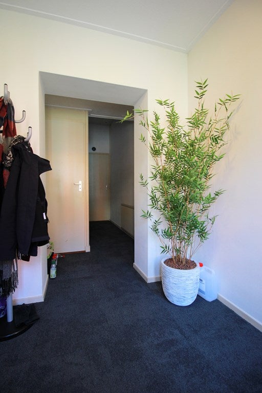House Image 2
