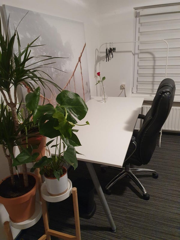 House Image 4