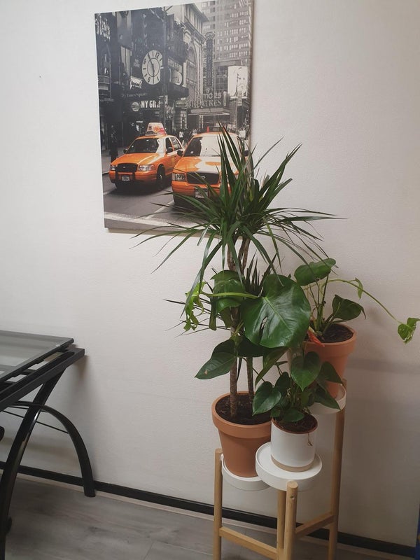 House Image 5