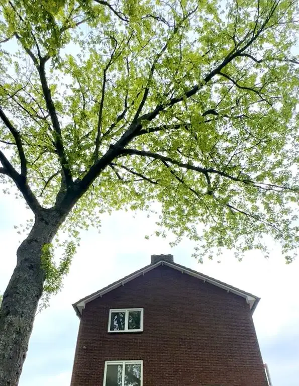 House Image 2