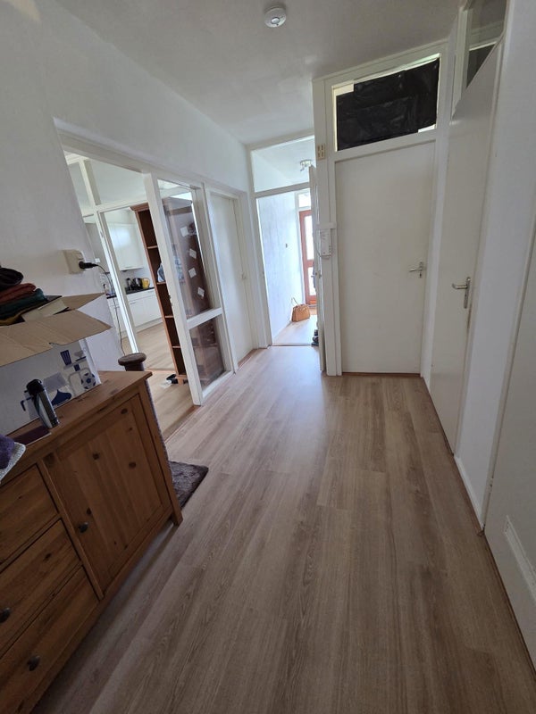 House Image 5