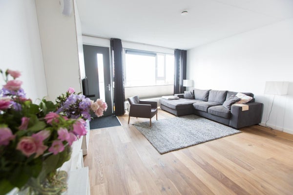 House Image 4