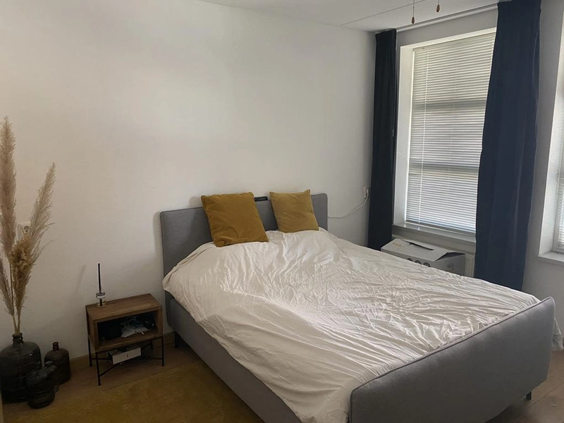 House Image 5