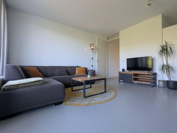 recent house