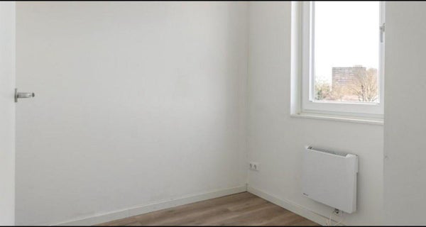 recent house