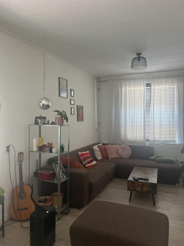 House Image 3