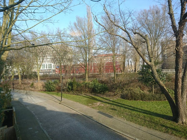 House Exterior