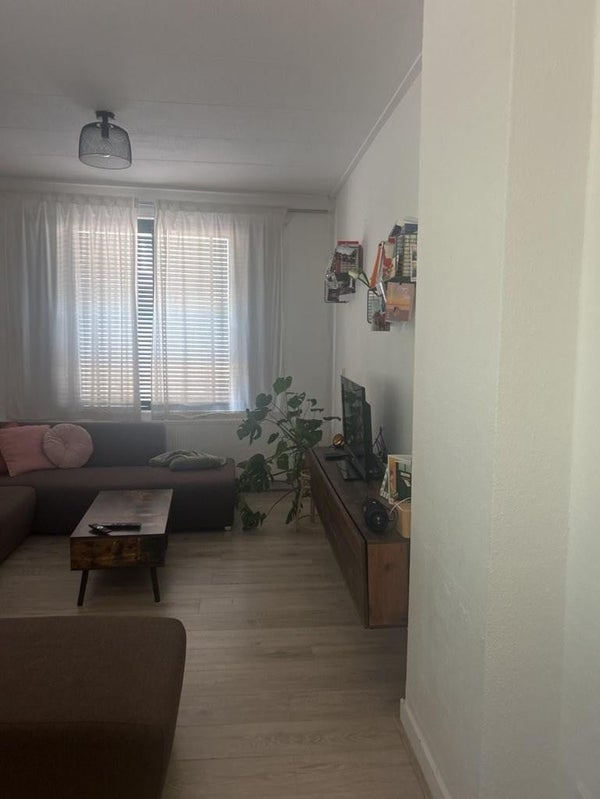 House Image 4