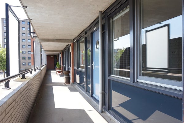 House Image 3