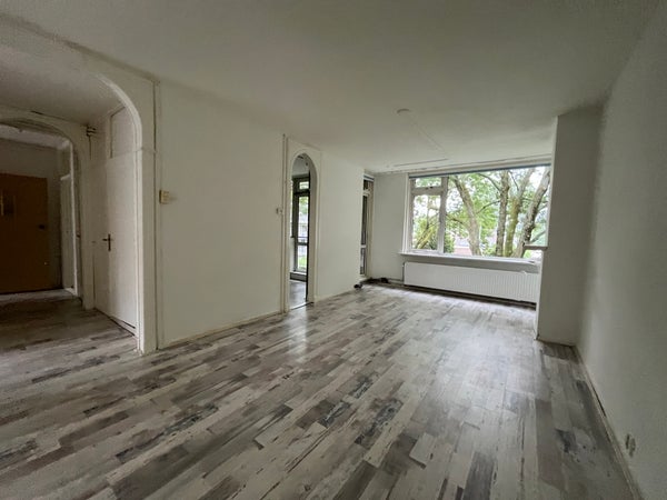 House Image 4