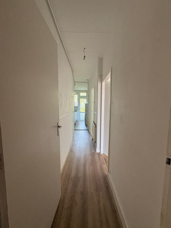 House Image 4
