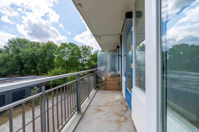 House Image 5