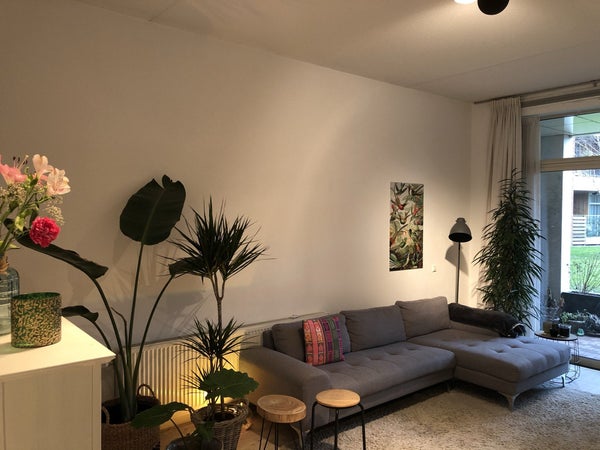House Image 2