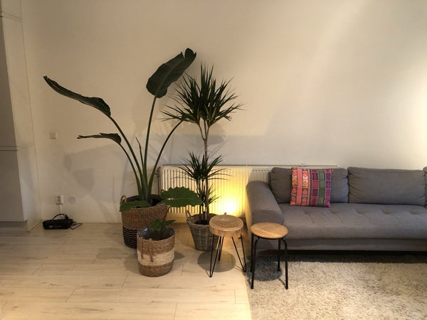 House Image 3
