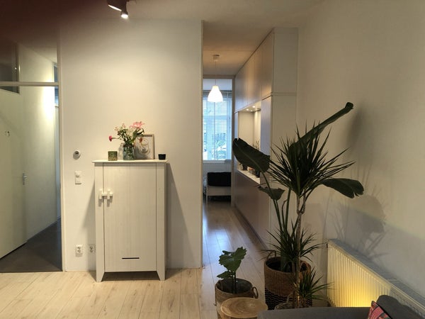 House Image 4