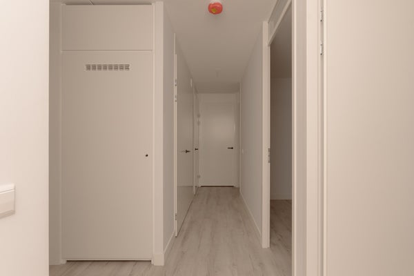 House Image 4