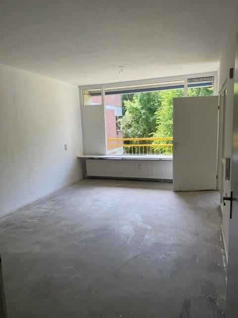 House Image 4