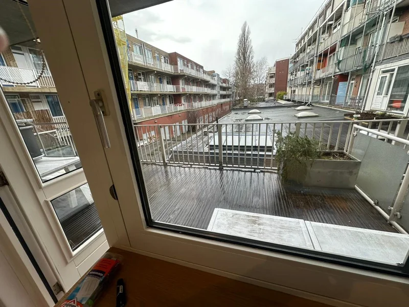 House Image 4
