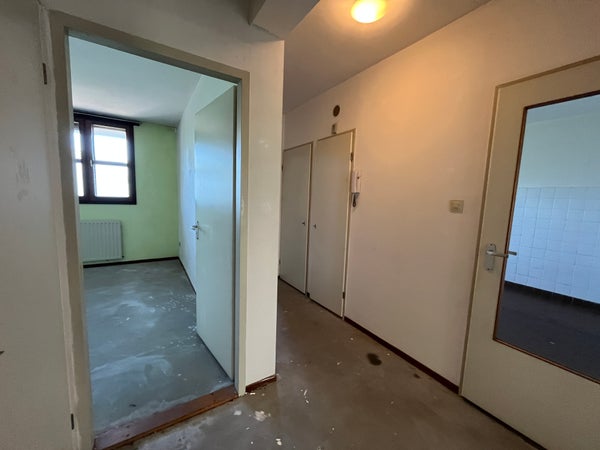 House Image 4
