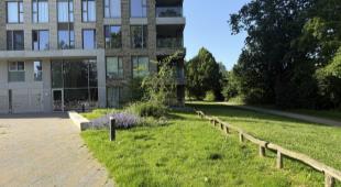House Image 2