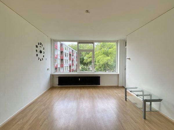 House Image 2