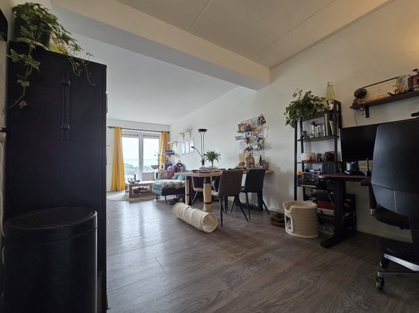 House Image 2