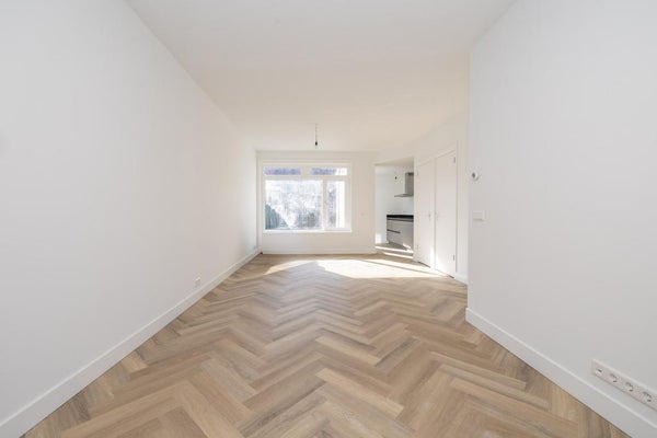 House Image 4