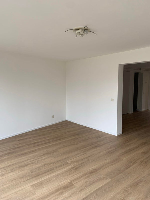 House Image 3
