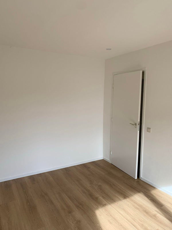 House Image 5