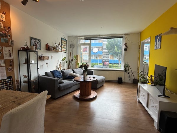 House Image 4
