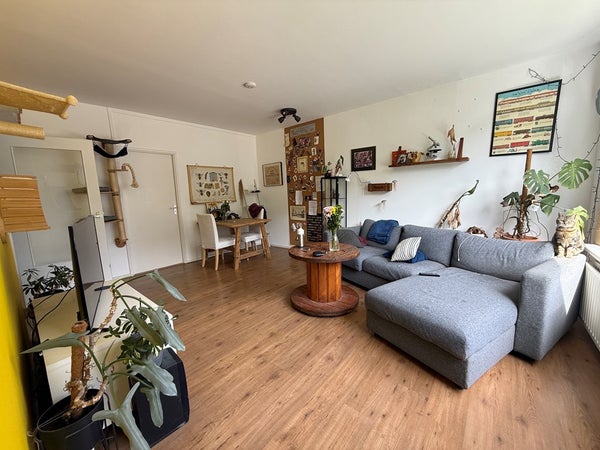 House Image 5