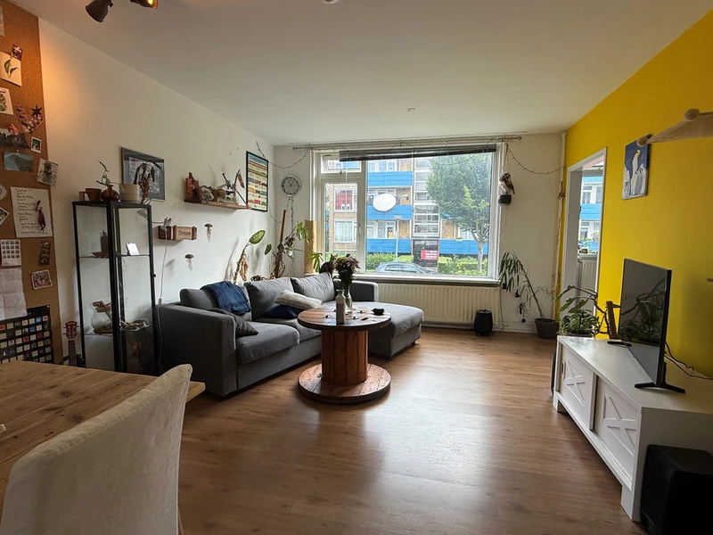House Image 4