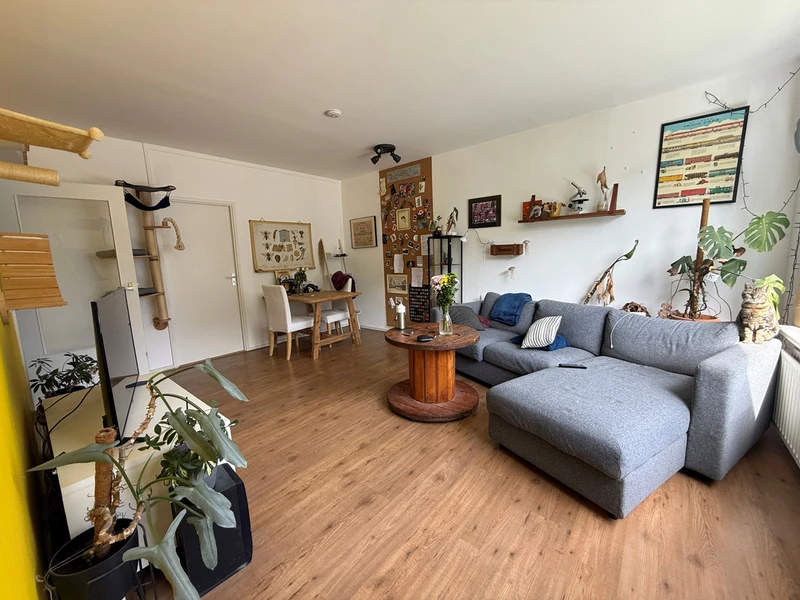 House Image 5