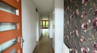 House Image 4