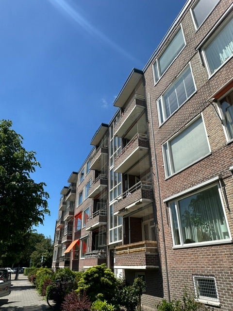 House Image 2