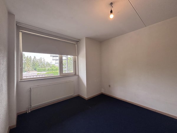 House Image 2