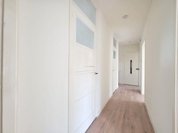 House Image 3