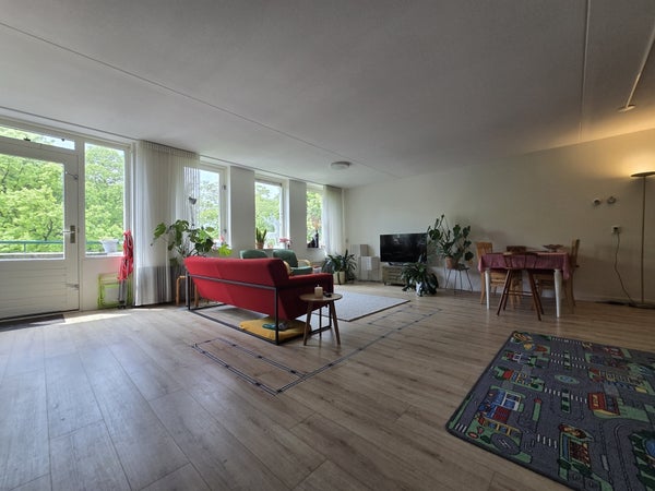House Image 4