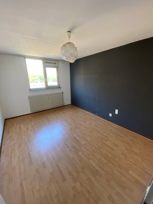 House Image 4