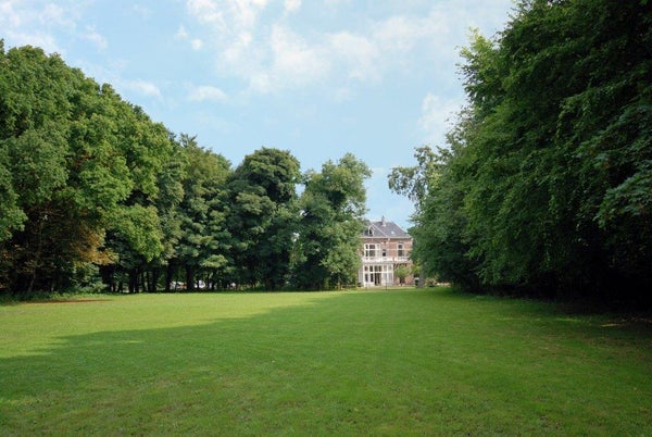 House Image 4