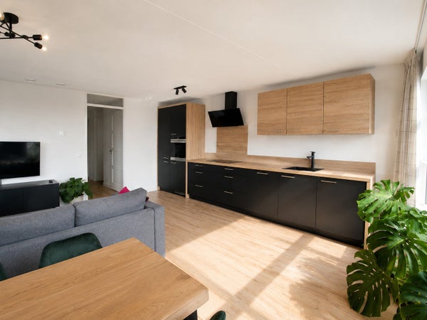 House Image 4