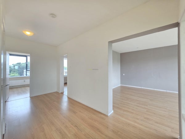 House Image 4