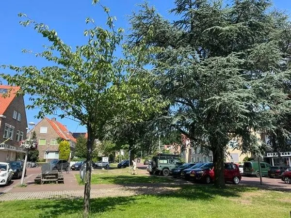 recent house